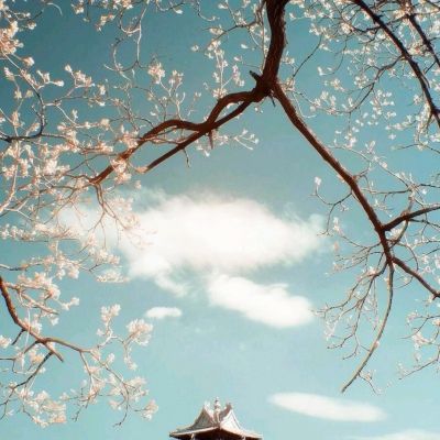 时间反冲破解版下载